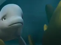 نهنگ سفید شجاع-Katak: The Brave Beluga1 نهنگ سفید شجاع-Katak: The Brave Beluga1