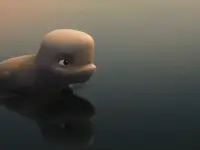 نهنگ سفید شجاع-Katak: The Brave Beluga2 نهنگ سفید شجاع-Katak: The Brave Beluga2